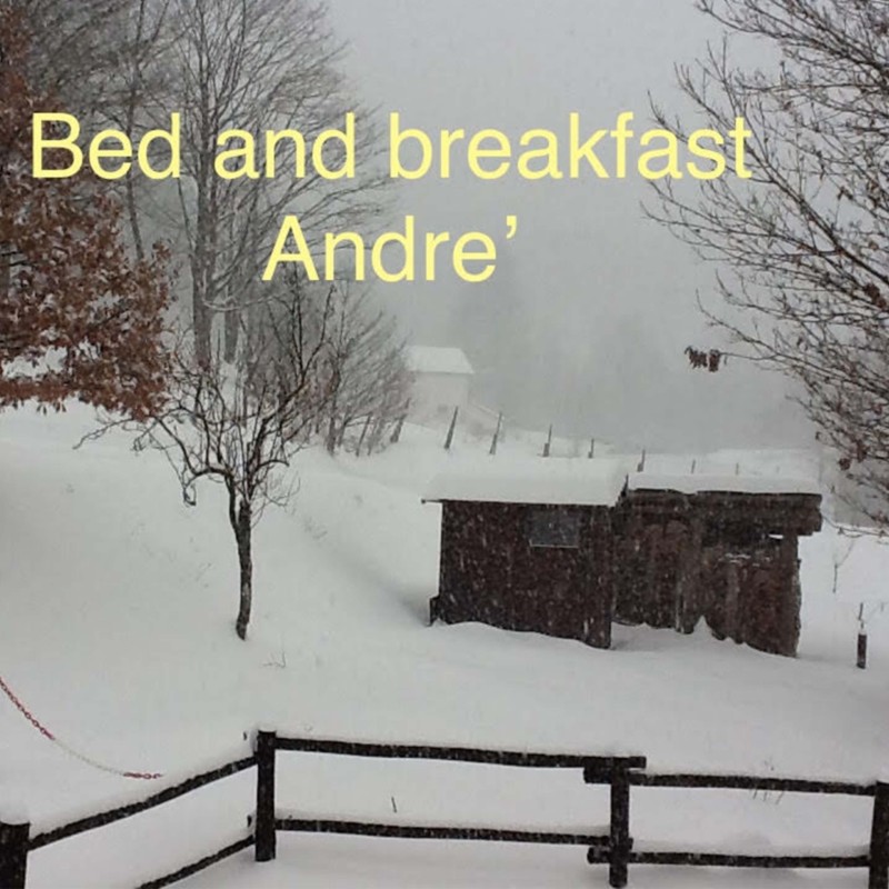 bbandre_gallery_0025_neve_01
